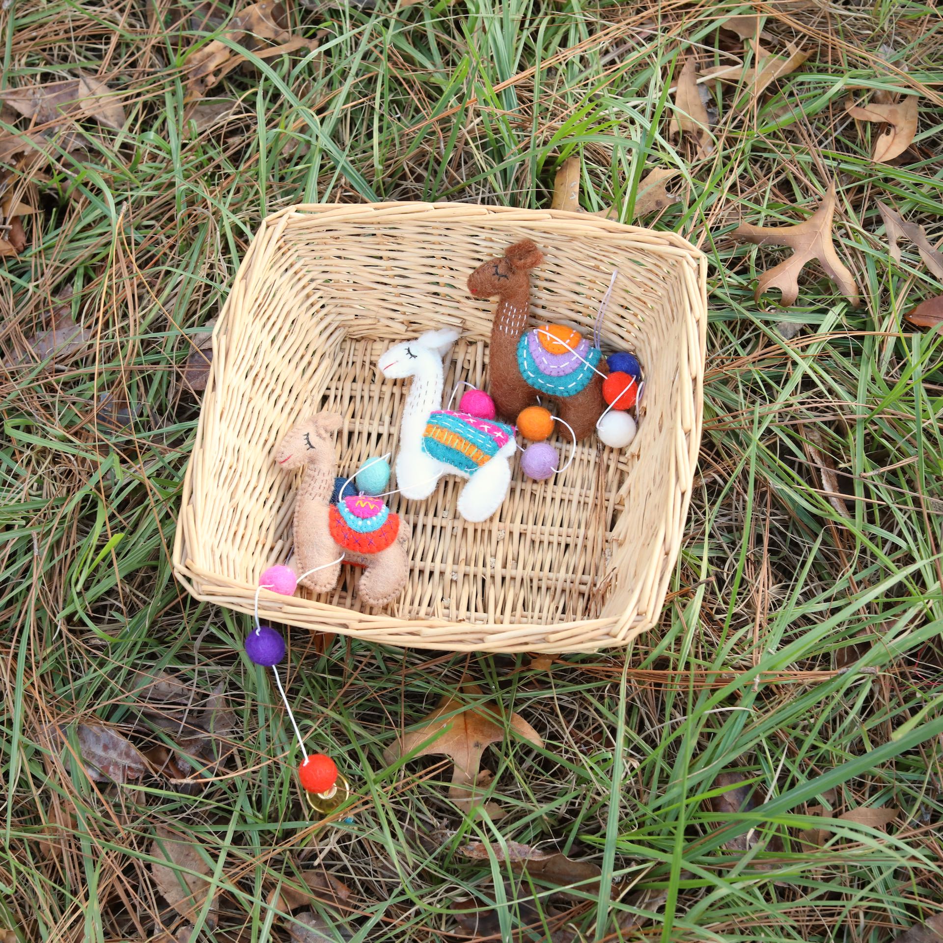 Product image 15